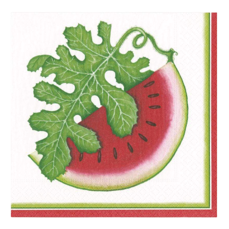 Tovagliolo da pranzo Caspari Watermelon Picnic