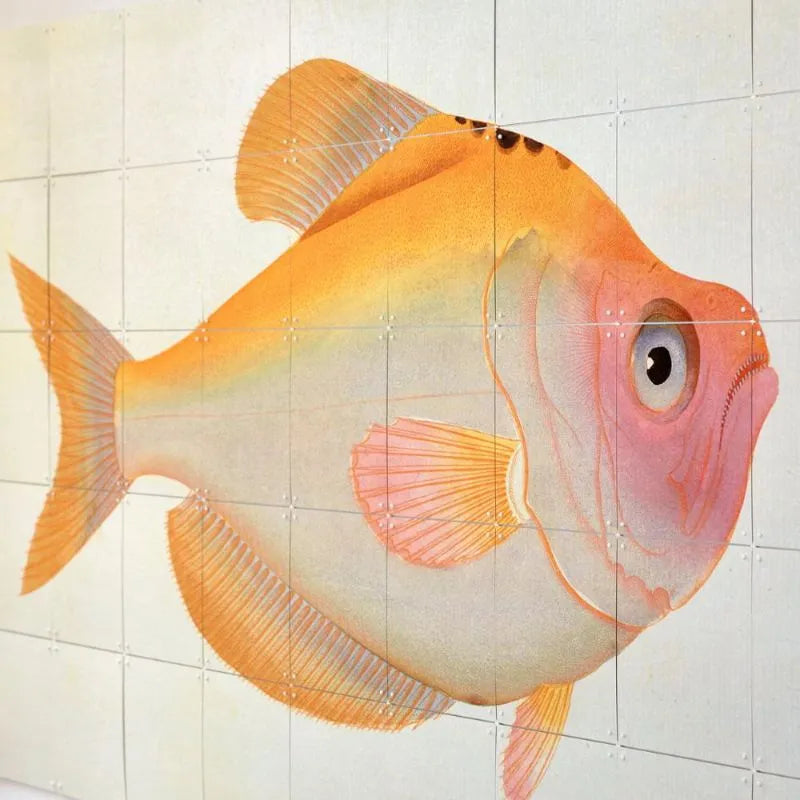 IXXI Yellow Fish Murale